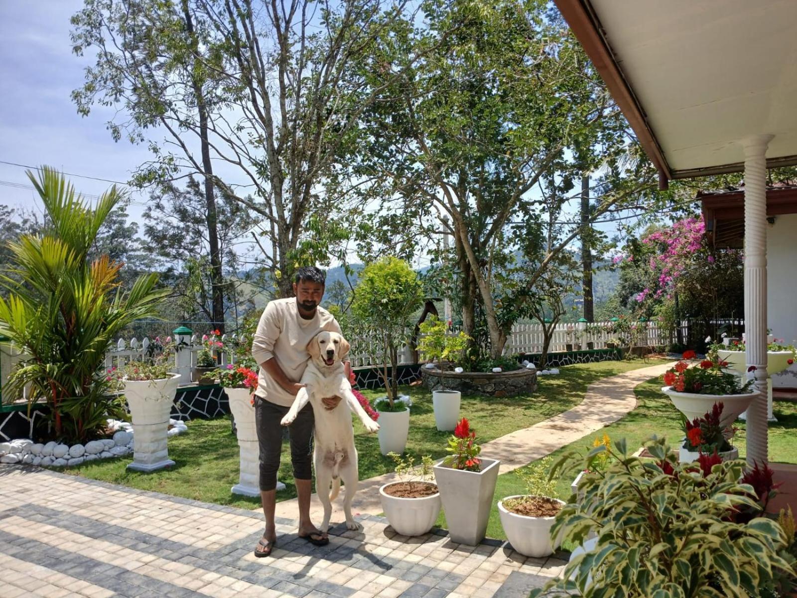 Nine Arch Gap Hotel Ella Bagian luar foto